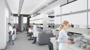 Interior design, offices